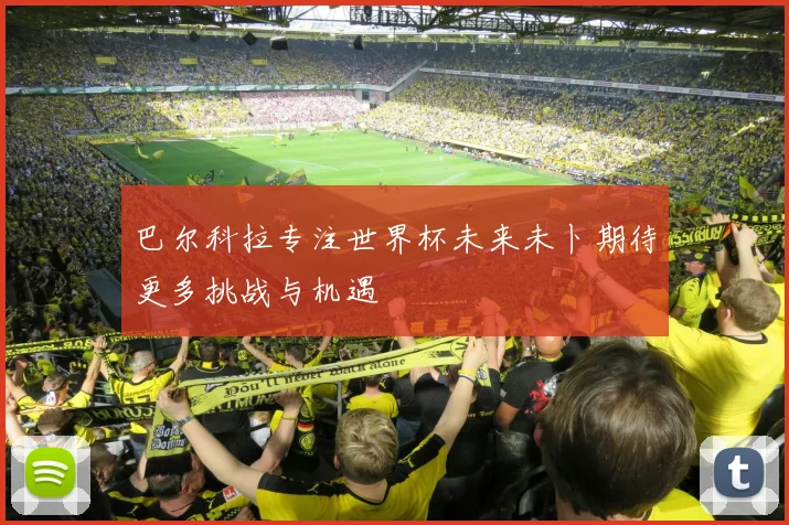 巴尔科拉专注世界杯未来未卜期待更多挑战与机遇