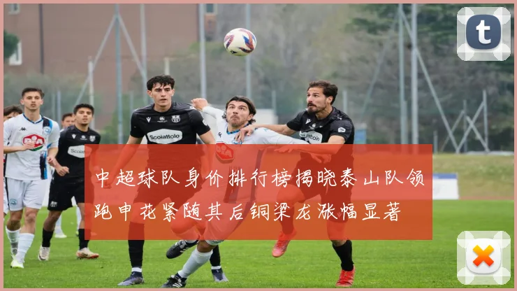 中超球队身价排行榜揭晓泰山队领跑申花紧随其后铜梁龙涨幅显著